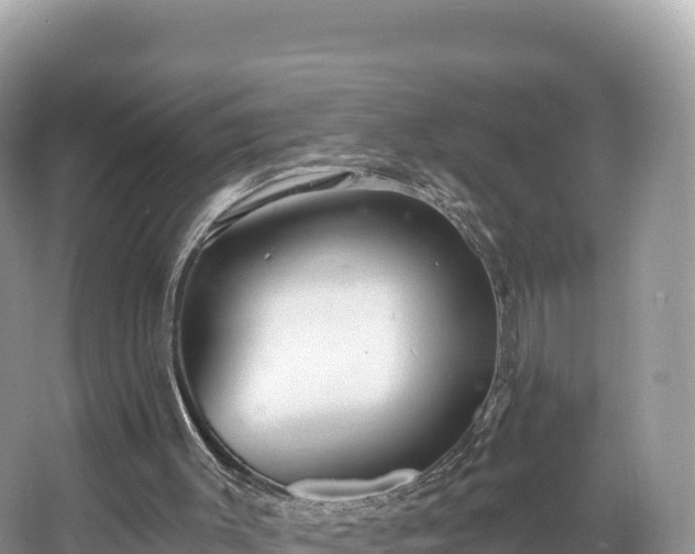 X0000067900003200604171415