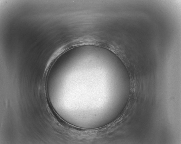 X0000067900004200604171415