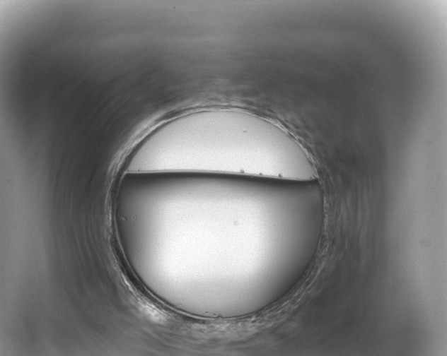 X0000067900005200604171415