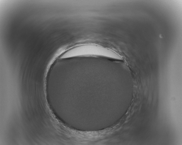 X0000067900006200604171415