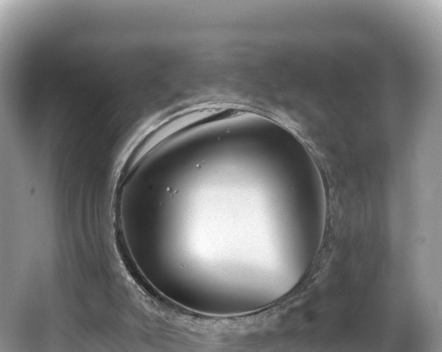 X0000067900007200604171415