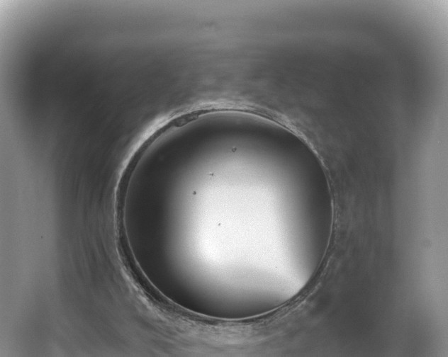 X0000067900008200604171415