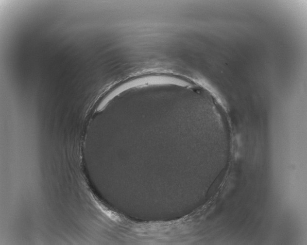 X0000067900009200604171415