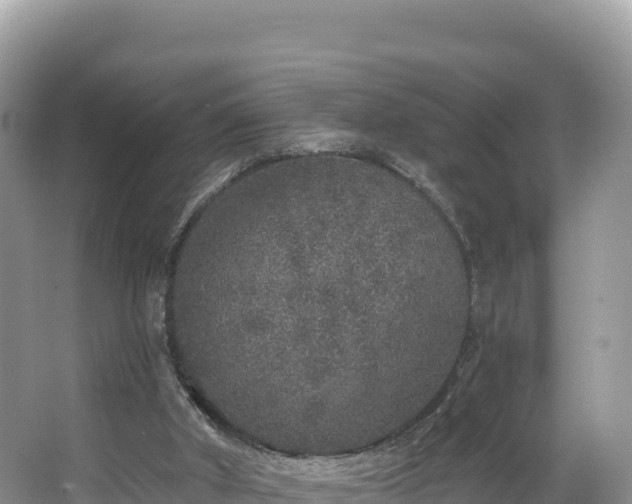 X0000067900010200604171415