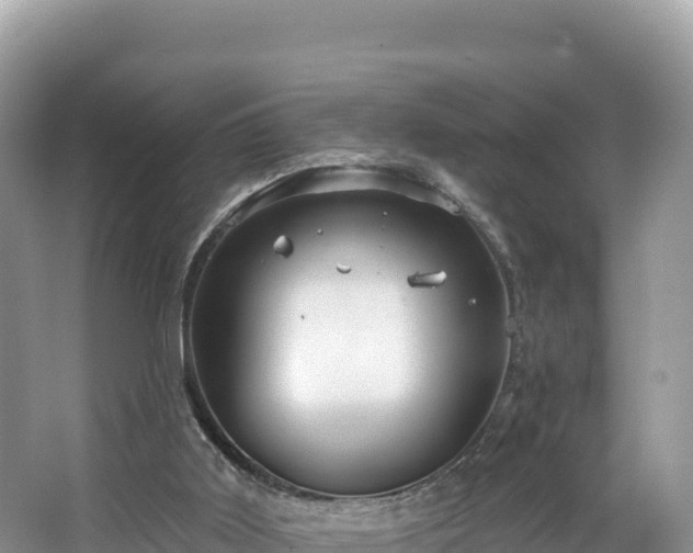 X0000067900011200604171415