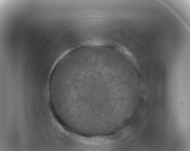 X0000067900012200604171415