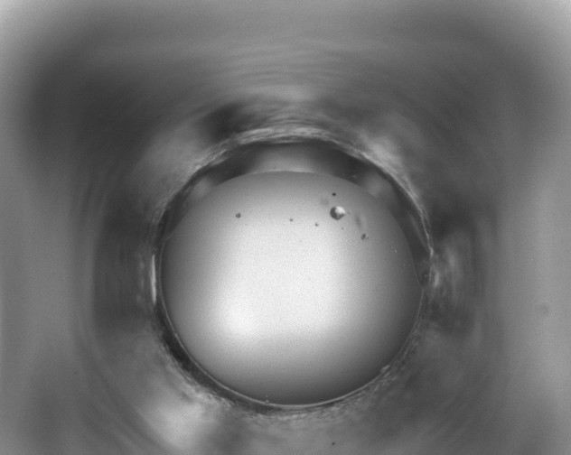 X0000067900013200604171415