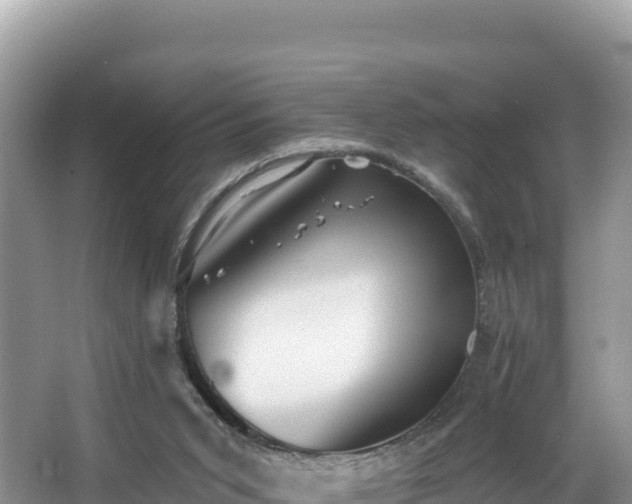 X0000067900015200604171415