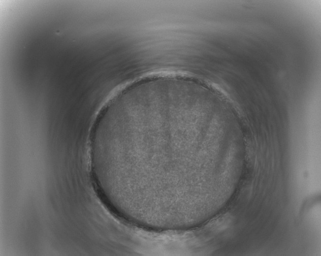 X0000067900016200604171415