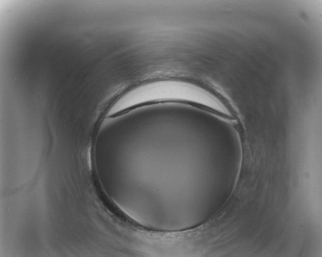 X0000067900019200604171415