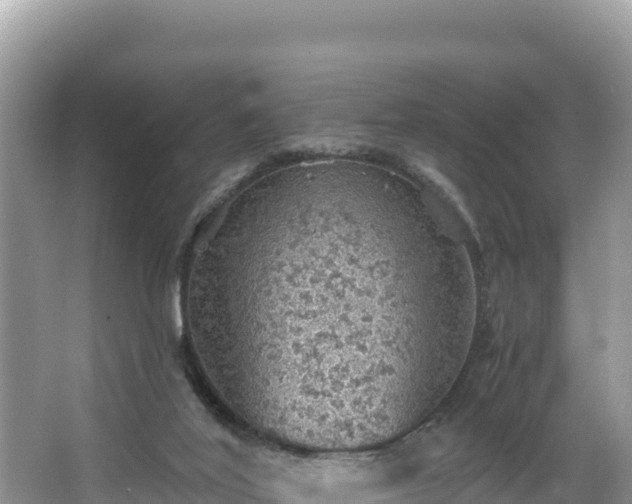 X0000067900020200604171415