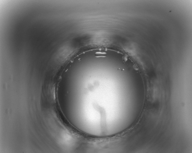 X0000067900021200604171415