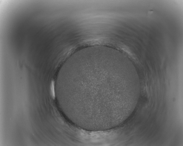 X0000067900022200604171415