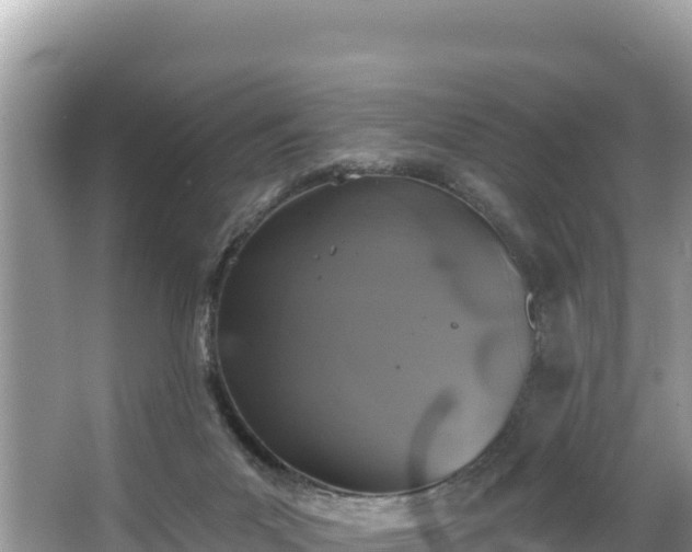 X0000067900023200604171415