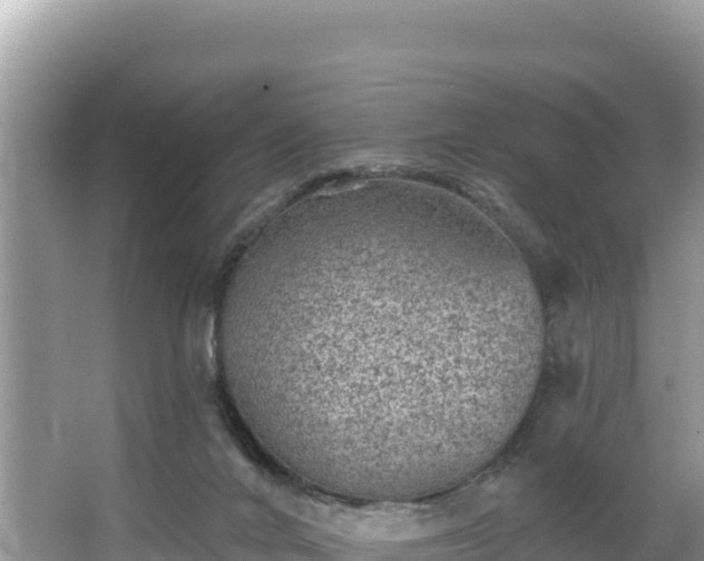 X0000067900024200604171415