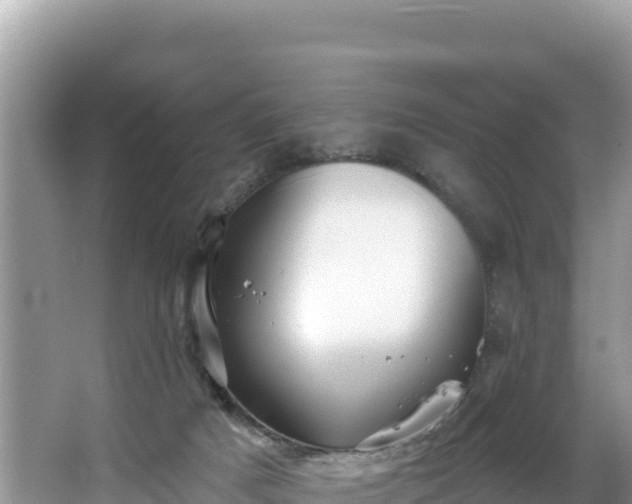 X0000067900025200604171415