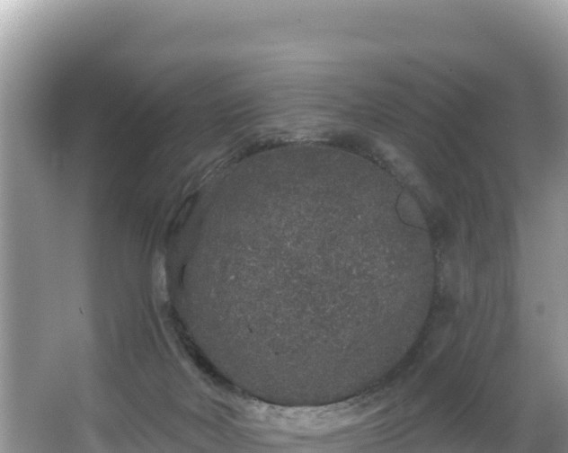 X0000067900026200604171415