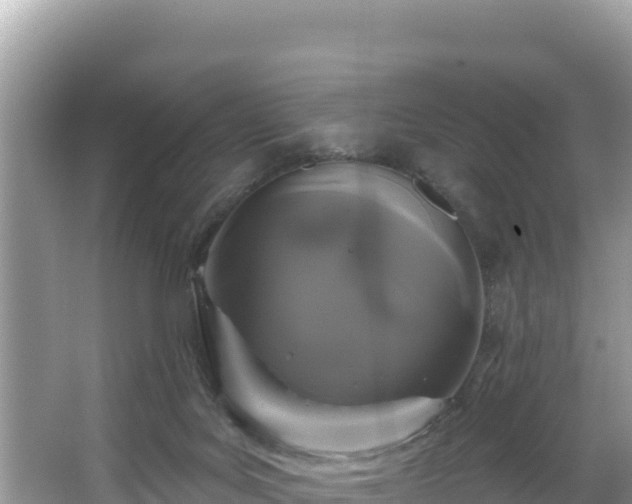 X0000067900027200604171414