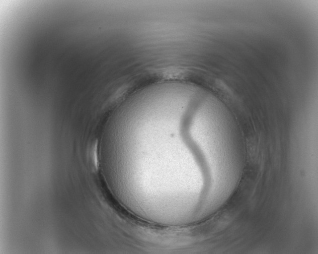 X0000067900028200604171414