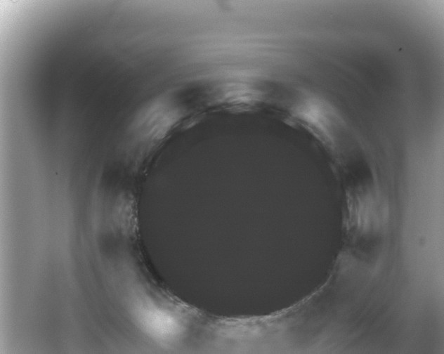 X0000067900029200604171414