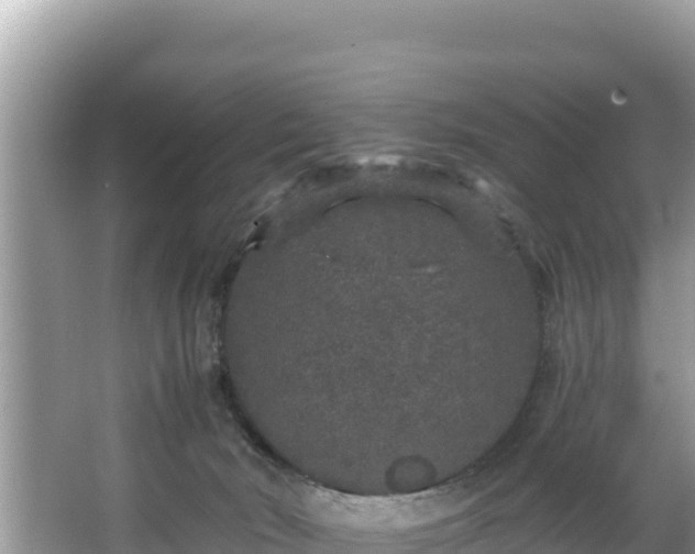 X0000067900030200604171414