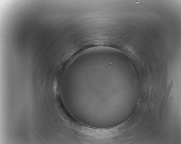 X0000067900031200604171414