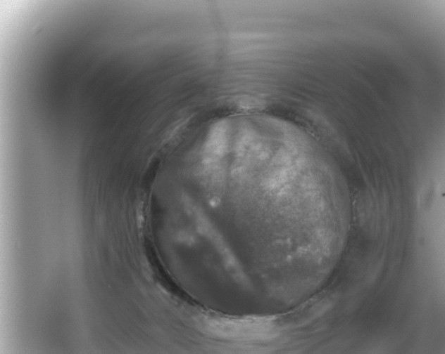 X0000067900032200604171414