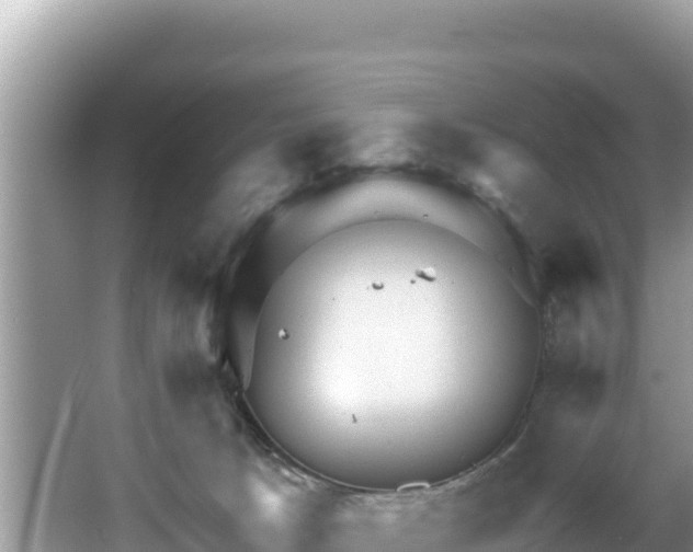 X0000067900033200604171414