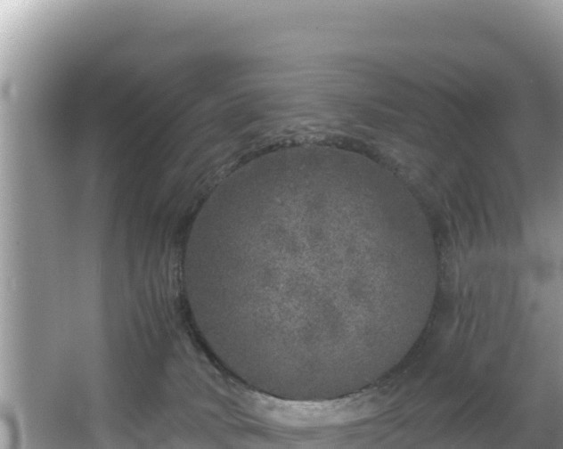 X0000067900034200604171414