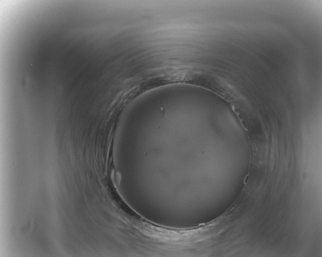 X0000067900035200604171414