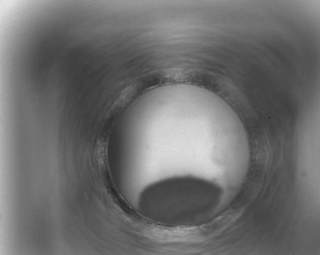 X0000067900036200604171414