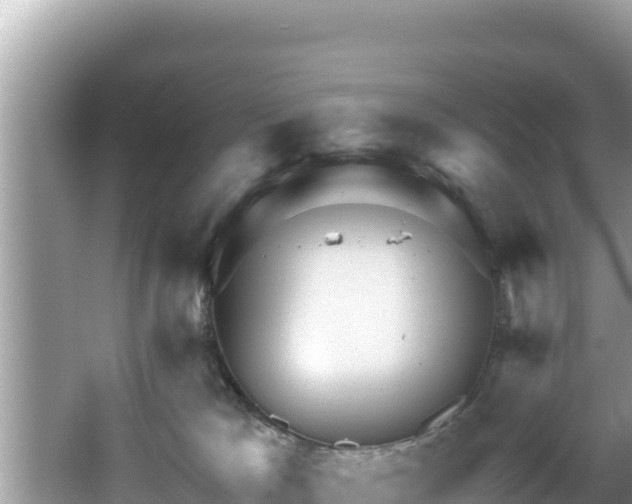 X0000067900037200604171414