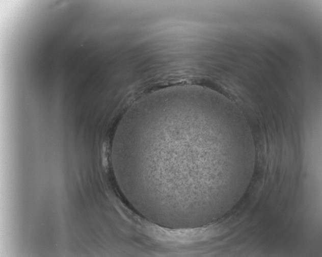 X0000067900038200604171414