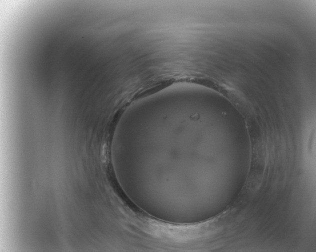 X0000067900039200604171414