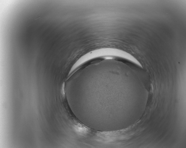 X0000067900041200604171414