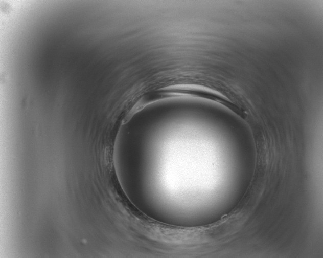 X0000067900044200604171414