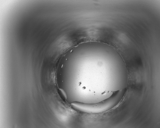 X0000067900045200604171414