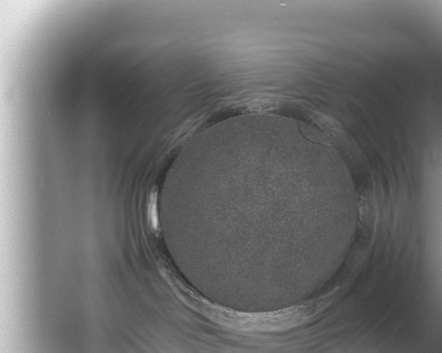 X0000067900046200604171414