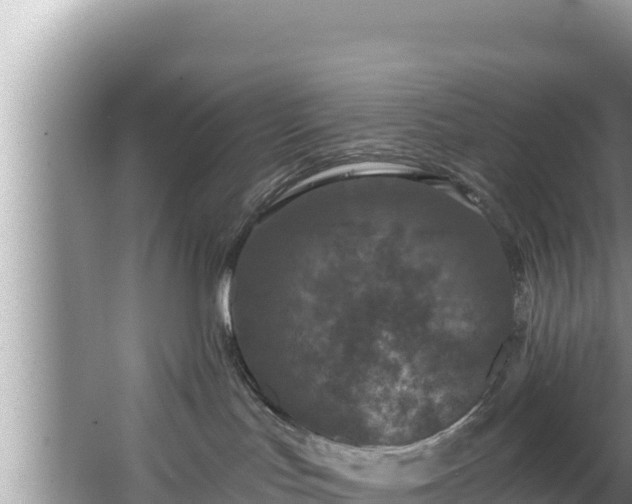 X0000067900047200604171414