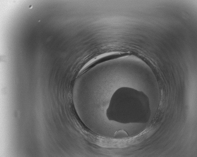 X0000067900048200604171414