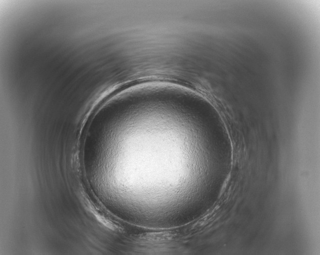 X0000067900050200604171413