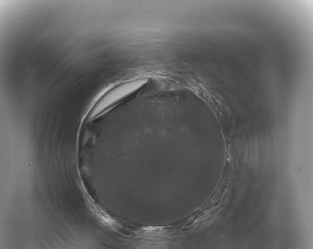 X0000067900052200604171413