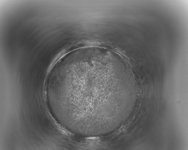 X0000067900053200604171413