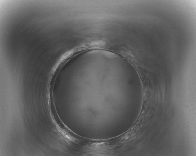 X0000067900054200604171413