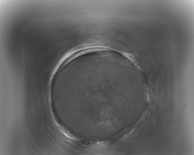 X0000067900056200604171413