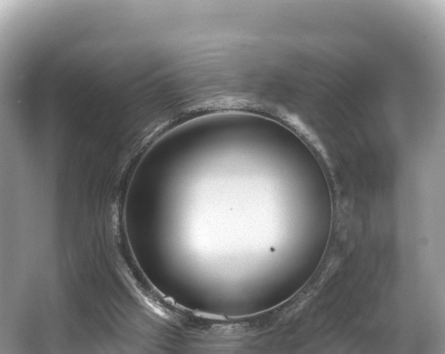 X0000067900057200604171413