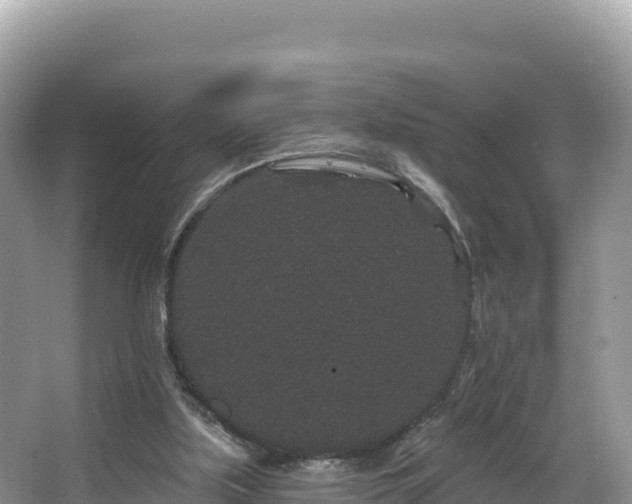 X0000067900059200604171413