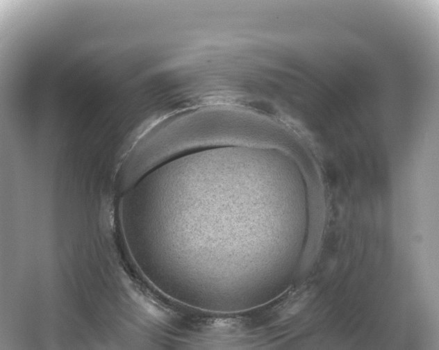 X0000067900060200604171414