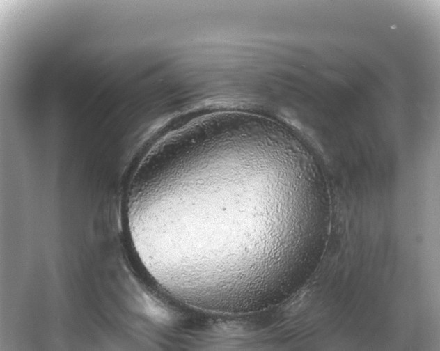 X0000067900062200604171414