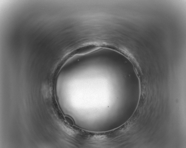 X0000067900063200604171414